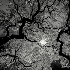 「光をみっけ」矢吹 允