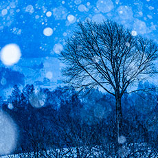 「静夜」橘 公一